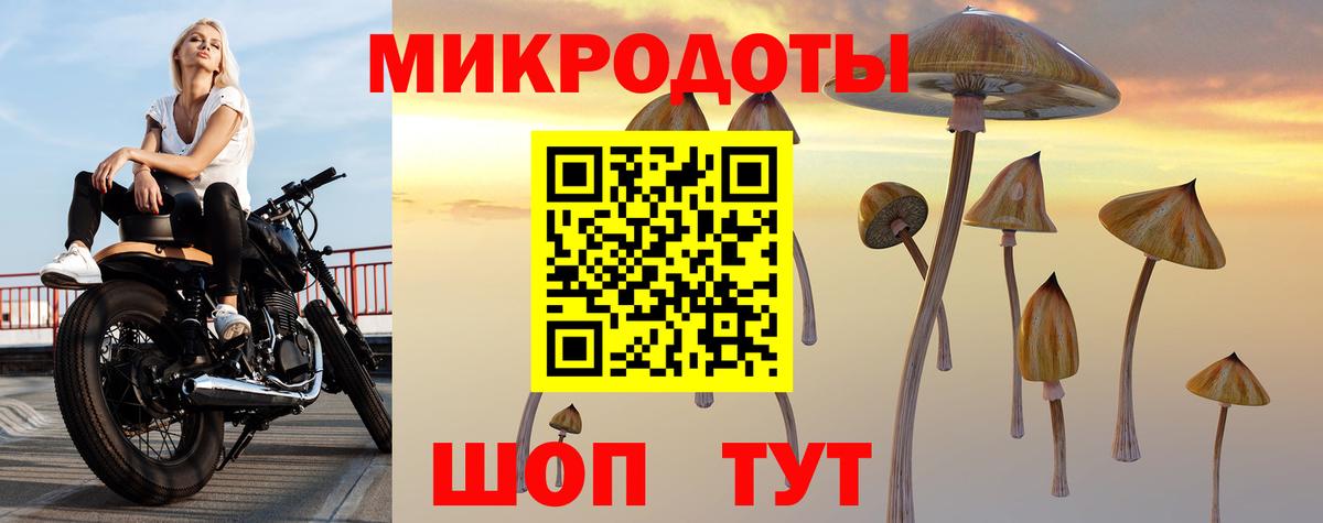 Анжеро-Судженск  Галлюциногенные грибы мухоморы  Вход с VPN 